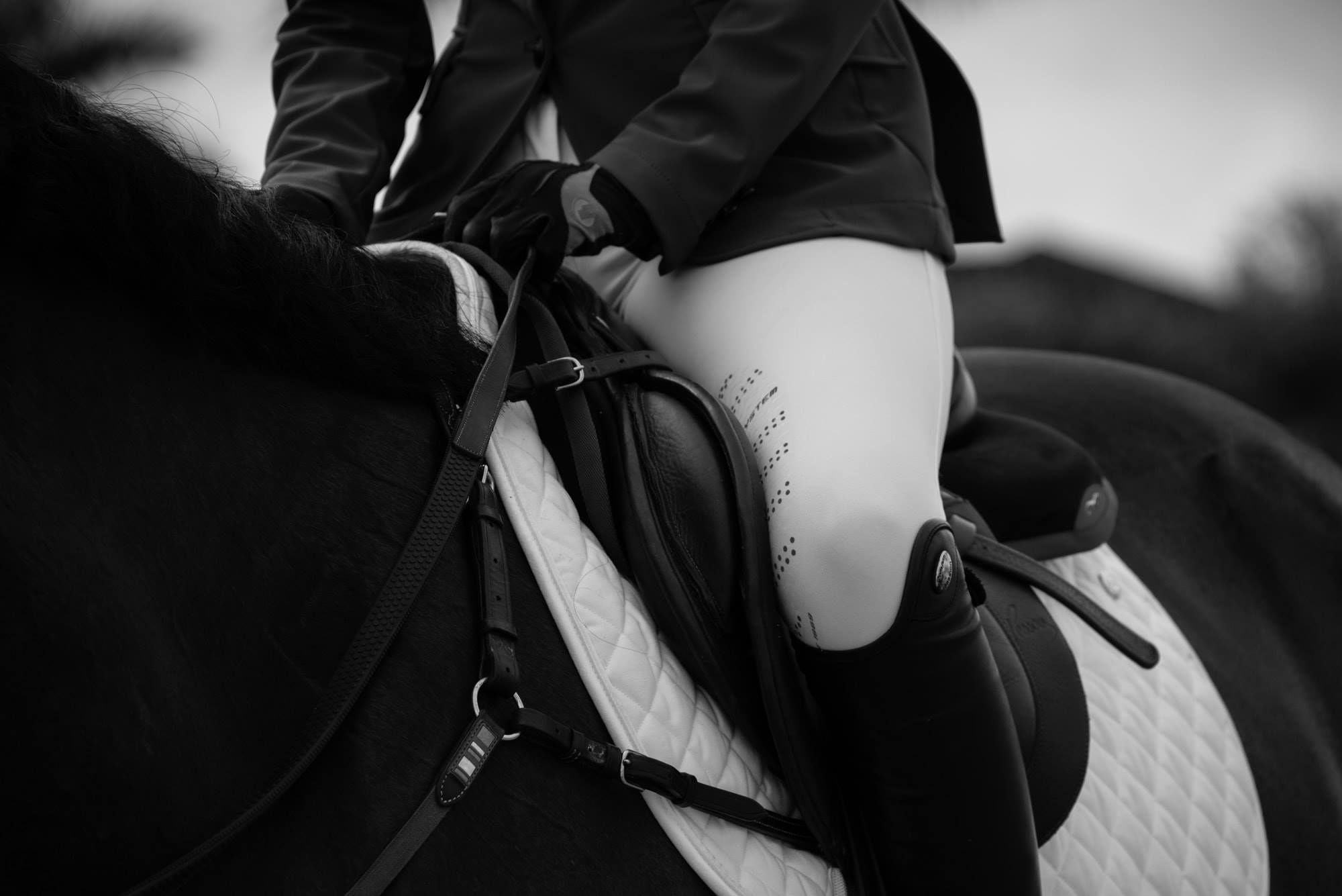 THE EQUIS COLLECTIVE