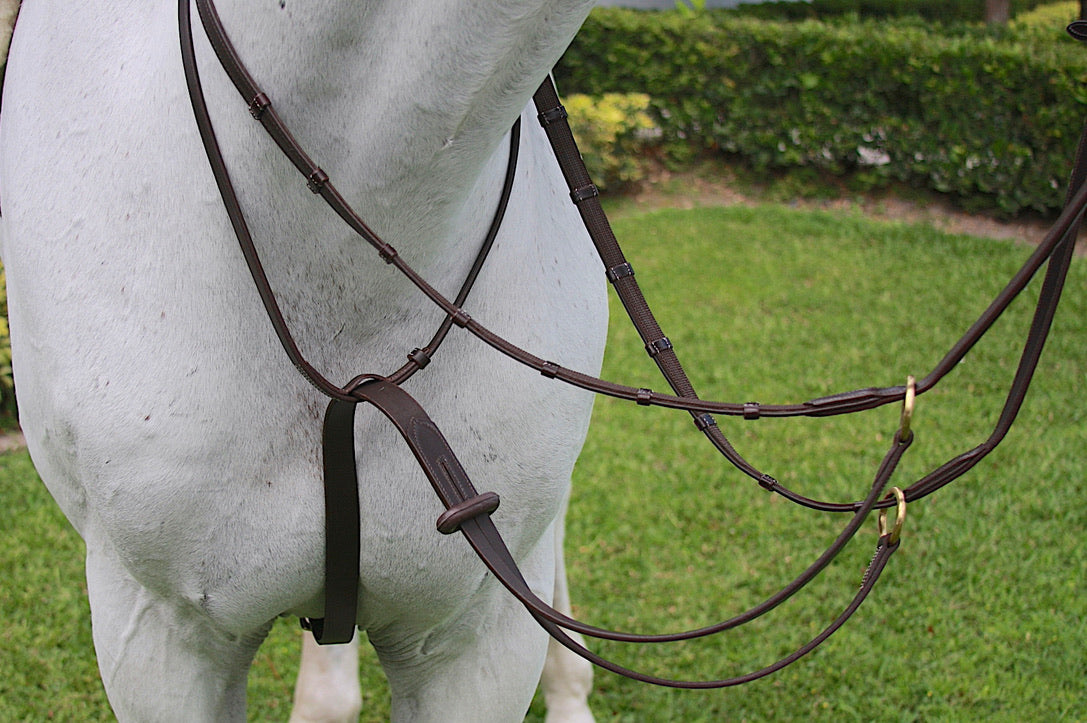 AVILA EQUESTRIAN RUNNING MARTINGALE - BROWN