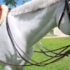 DRAW REINS (BRASS) BROWN FULL