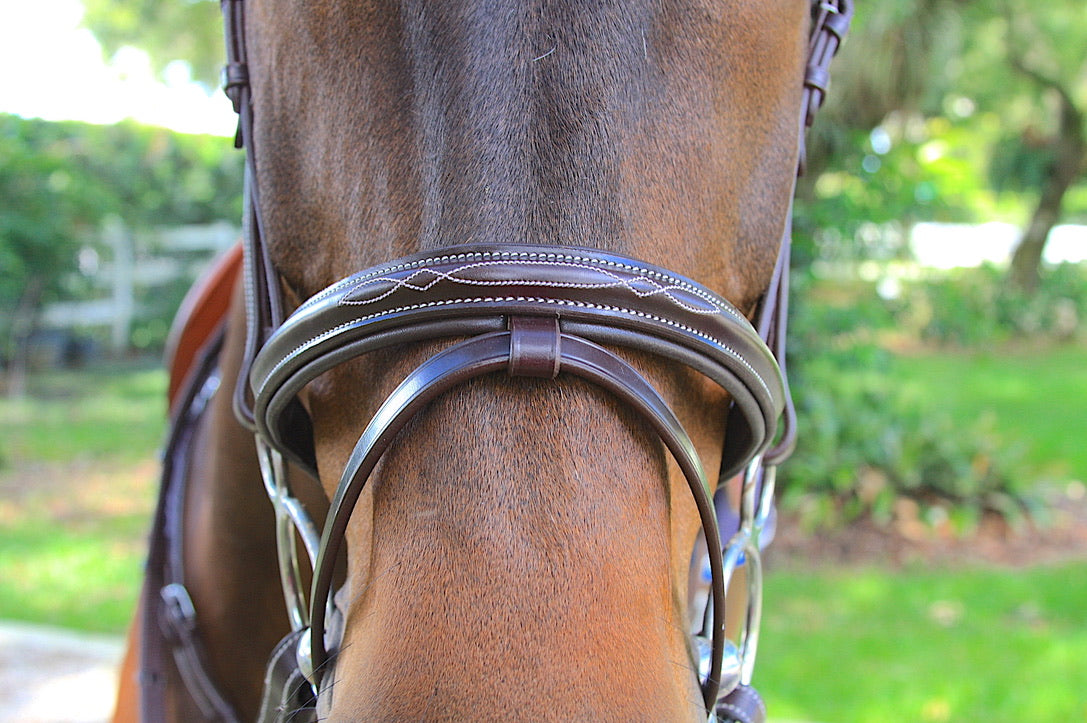 AVILA EQUESTRIAN BRIDLE APRILIA JFS (SS) BROWN