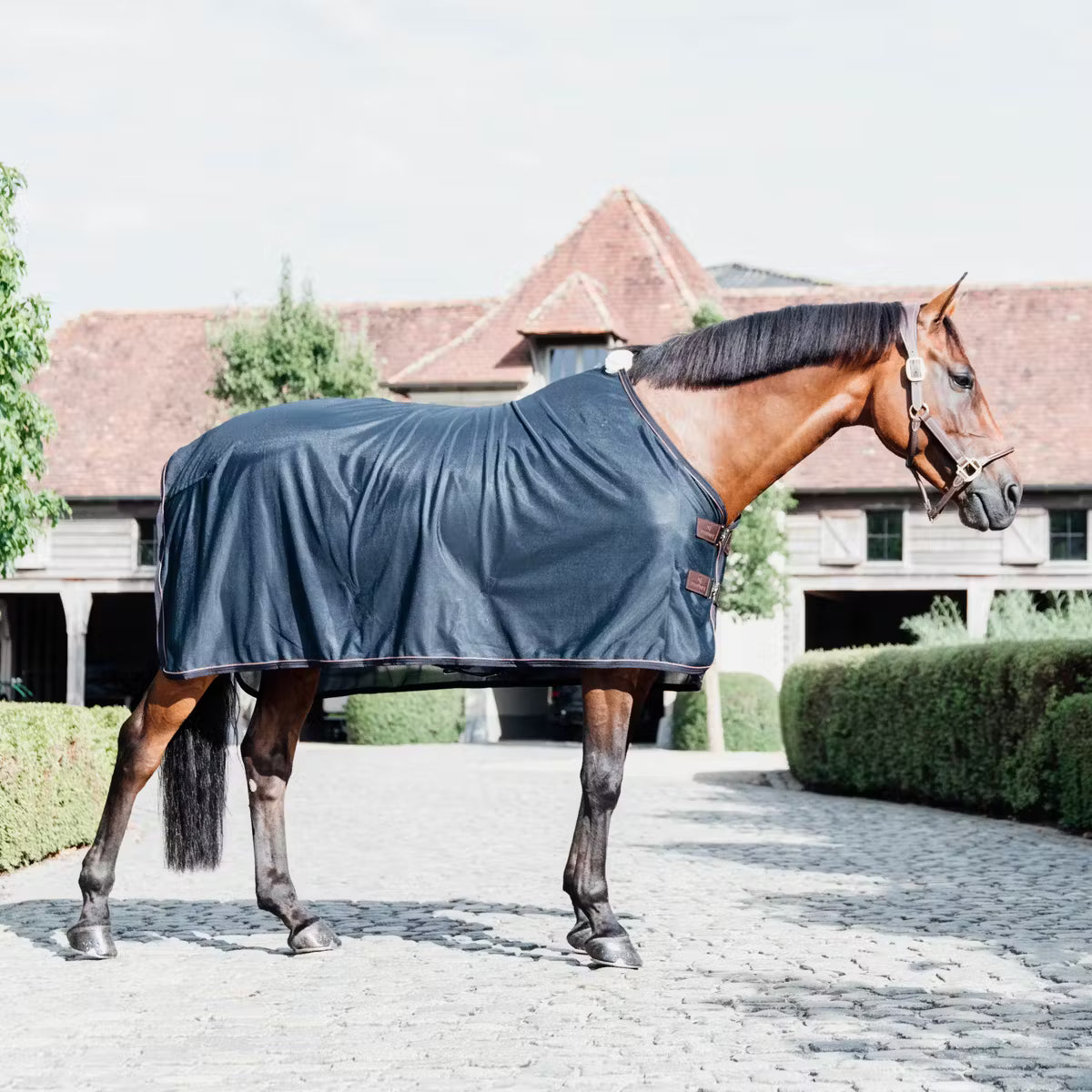 Kentucky Mesh Fly Sheet