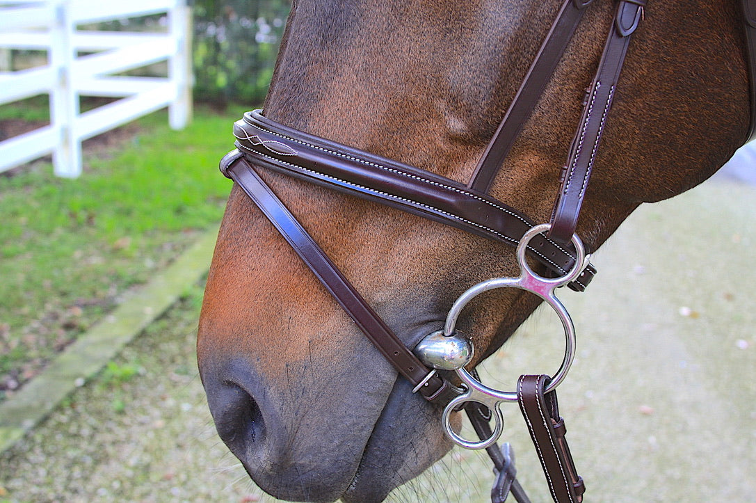 AVILA EQUESTRIAN FLASH NOSE STRAP - BROWN