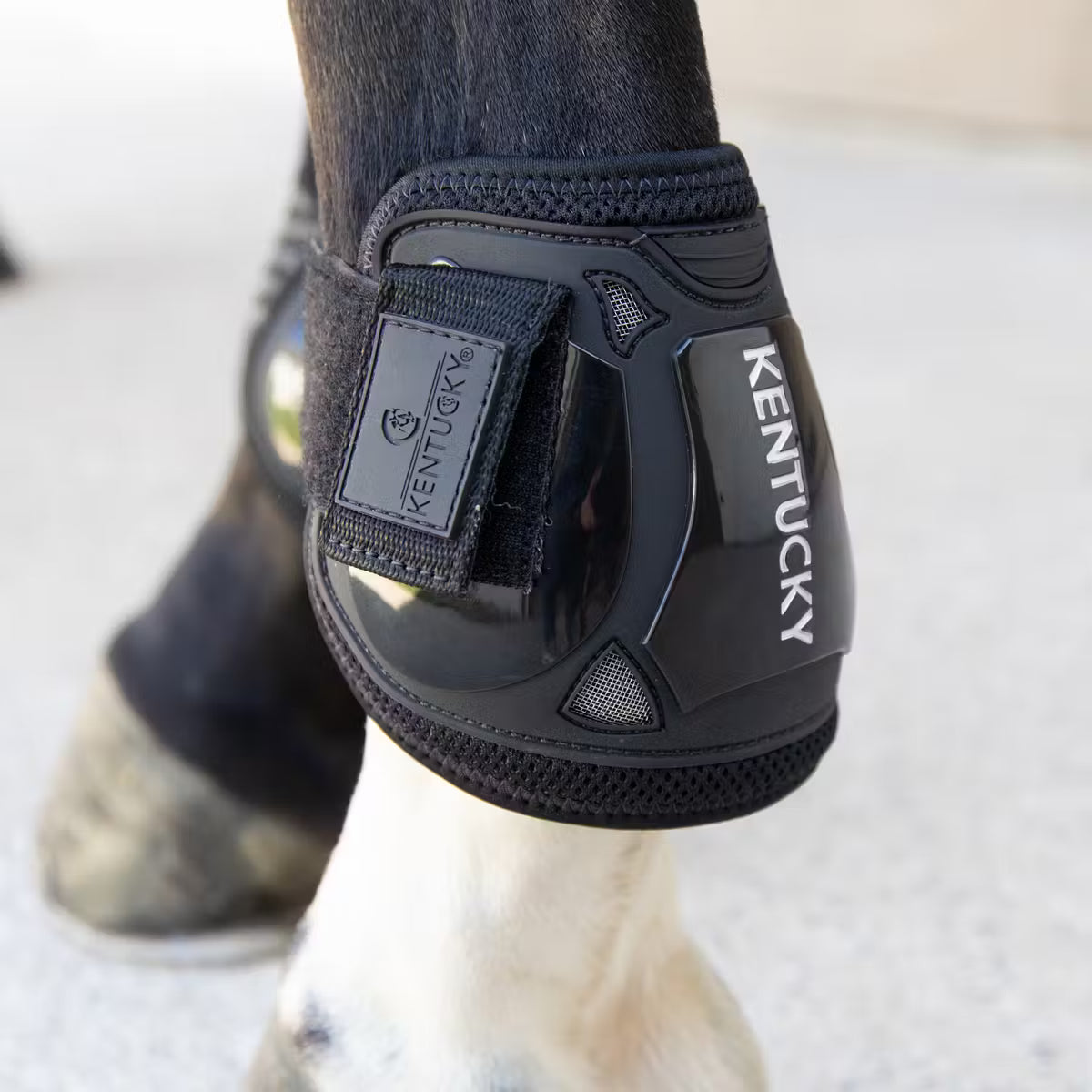 Kentucky Moonboots Air Velcro