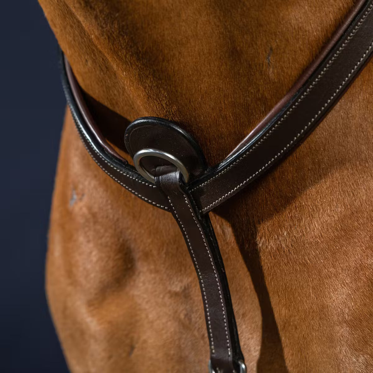 DYON Bridge Breastplate - W Collection