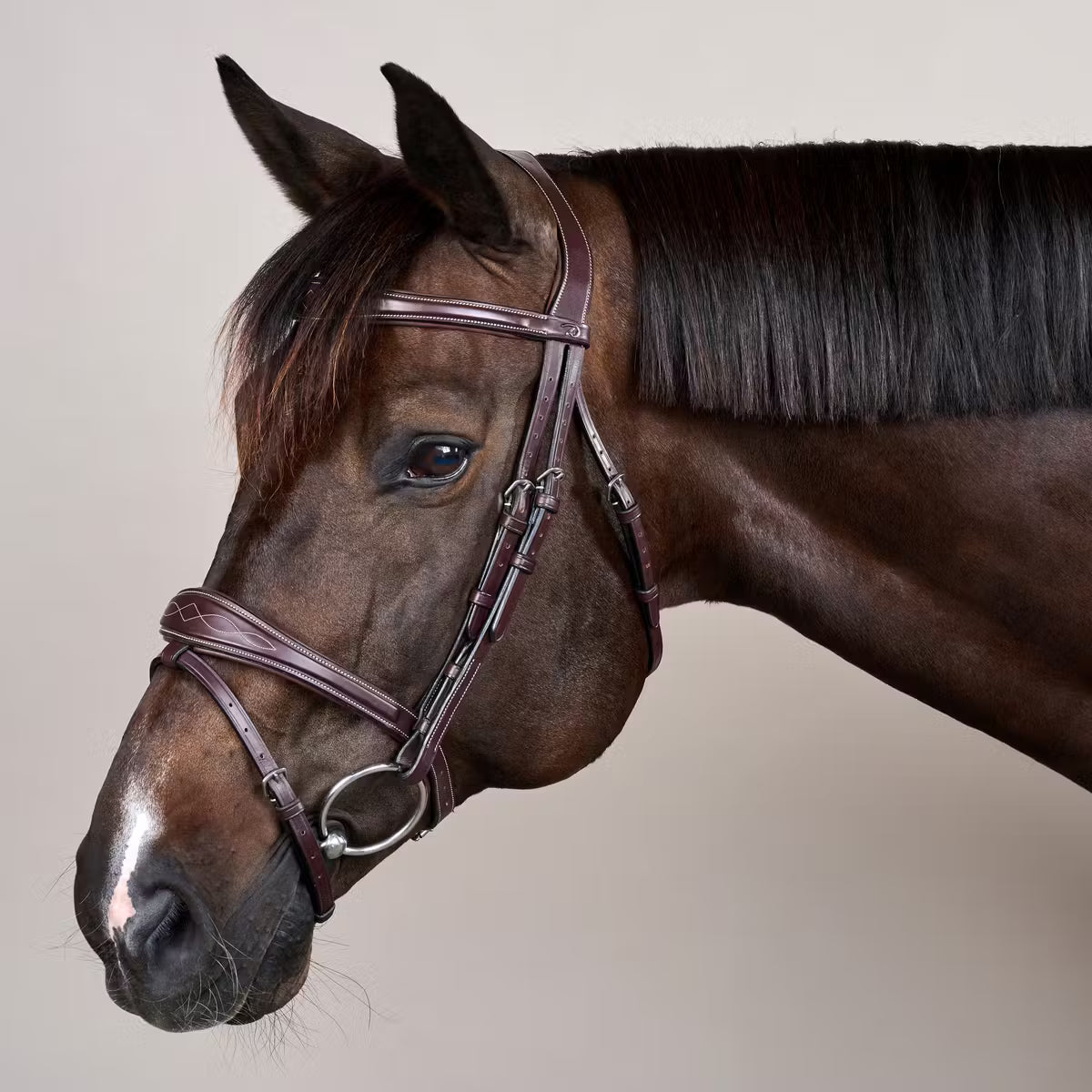 Dyon Anatomic Flash Noseband Bridle US