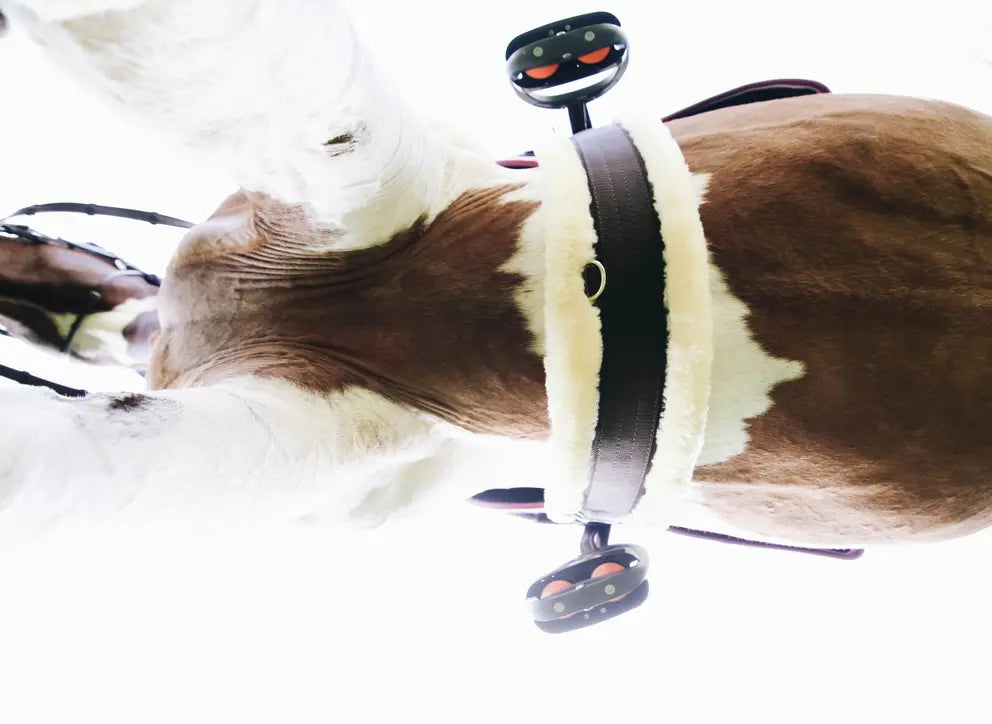 KENTUCKY HORSEWEAR Nylon Sheepskin Girth image 2