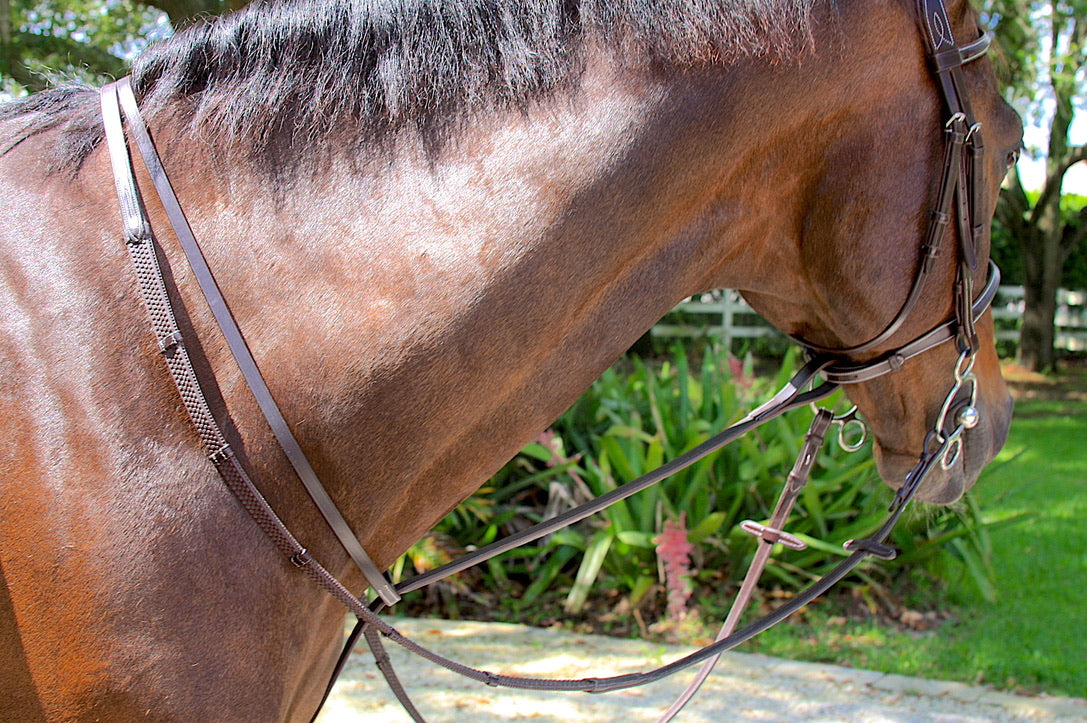 AVILA EQUESTRIAN FIXED MARTINGALE FLAT - BROWN