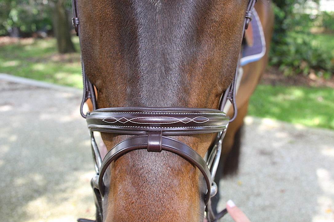 AVILA EQUESTRIAN BRIDLE APRILIA JFS (SS) BROWN