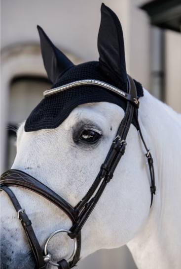 KENTUCKY Fly Veil Wellington