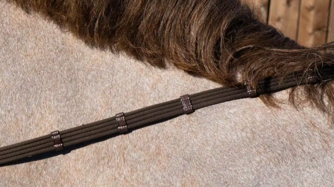 DYON 5/8 WEB REINS WITH 9 LEATHER LOOPS - WO COLLECTION