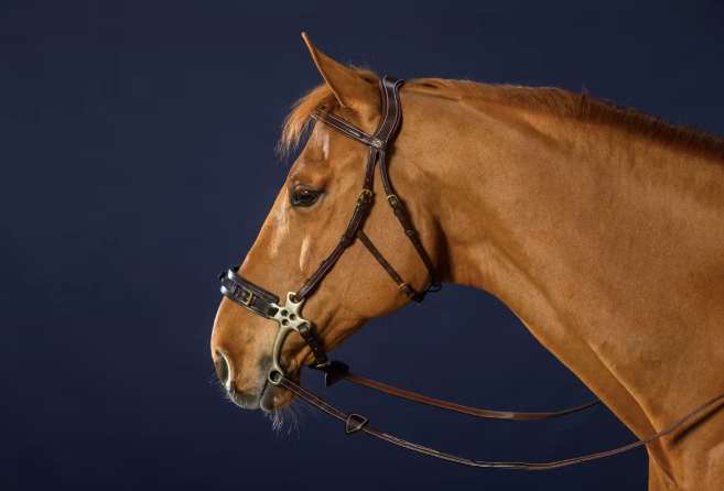 HACKAMORE BRIDLE - D COLLECTION BROWN