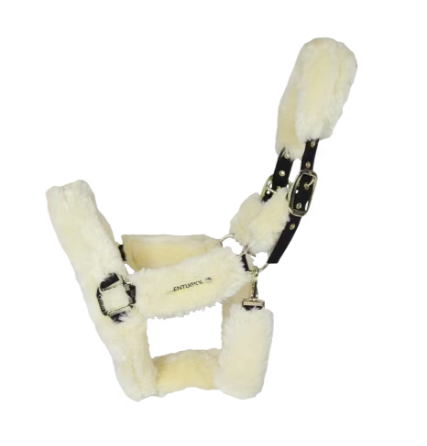 KENTUCKY Sheepskin Shipping Halter Black Full