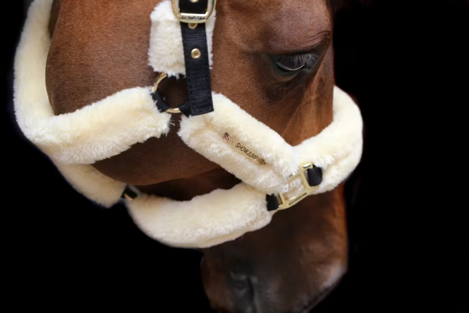 KENTUCKY Sheepskin Shipping Halter Black Full