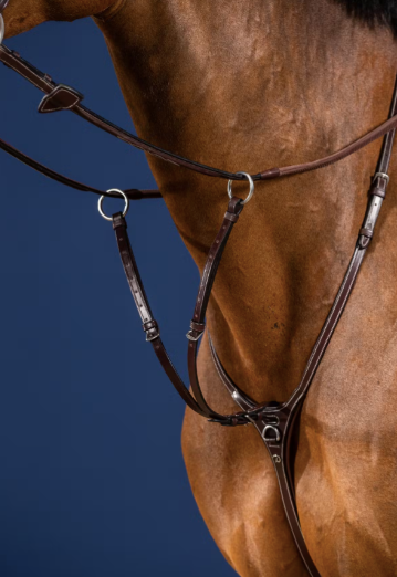 Dyon Running Martingale Attachment US Collection