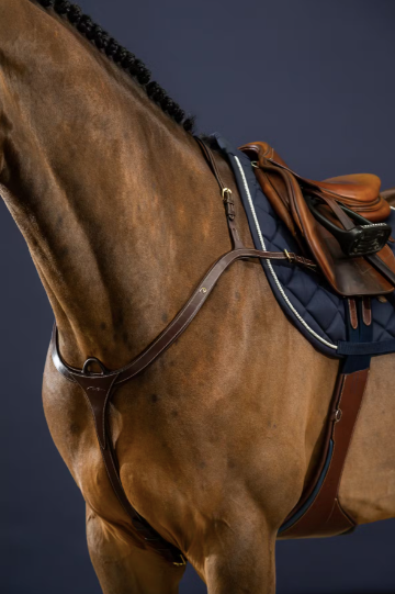 DYON Long Bridge Breastplate