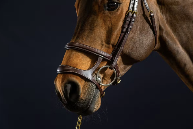 Dyon Double Noseband Bridle