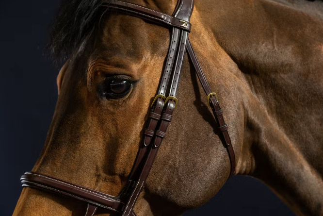Dyon Double Noseband Bridle