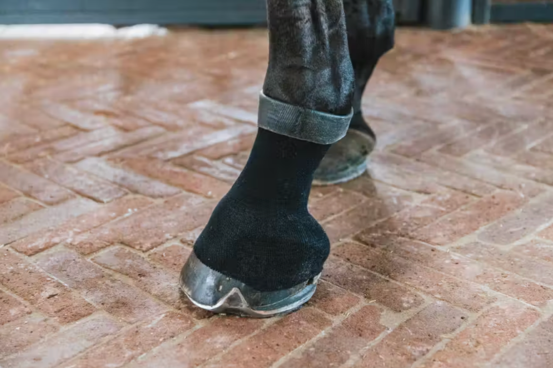 Kentucky Tendon Grip GEL Sock Beige