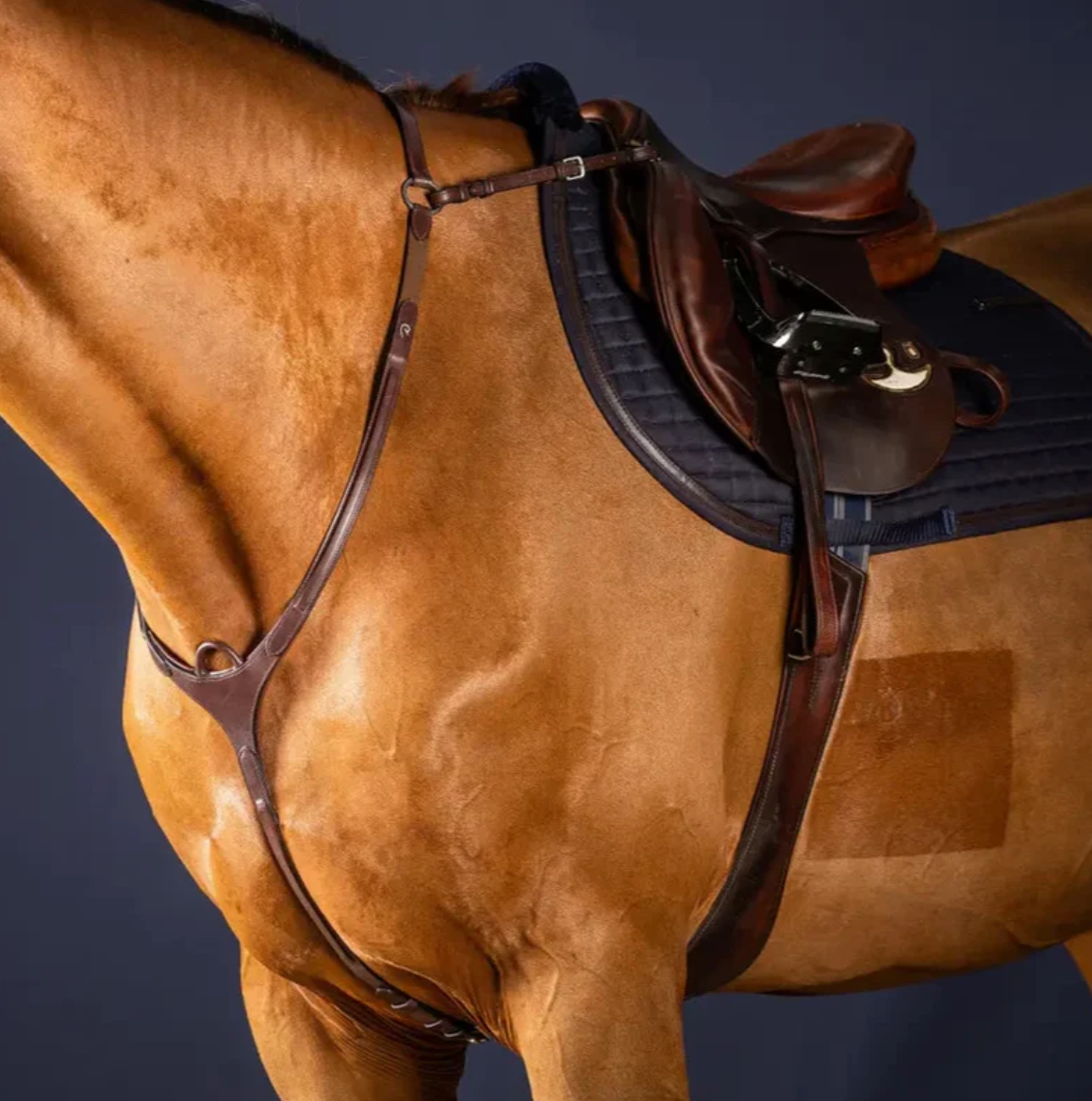 Bridge Breastplate - New English Collection BROWN FULL