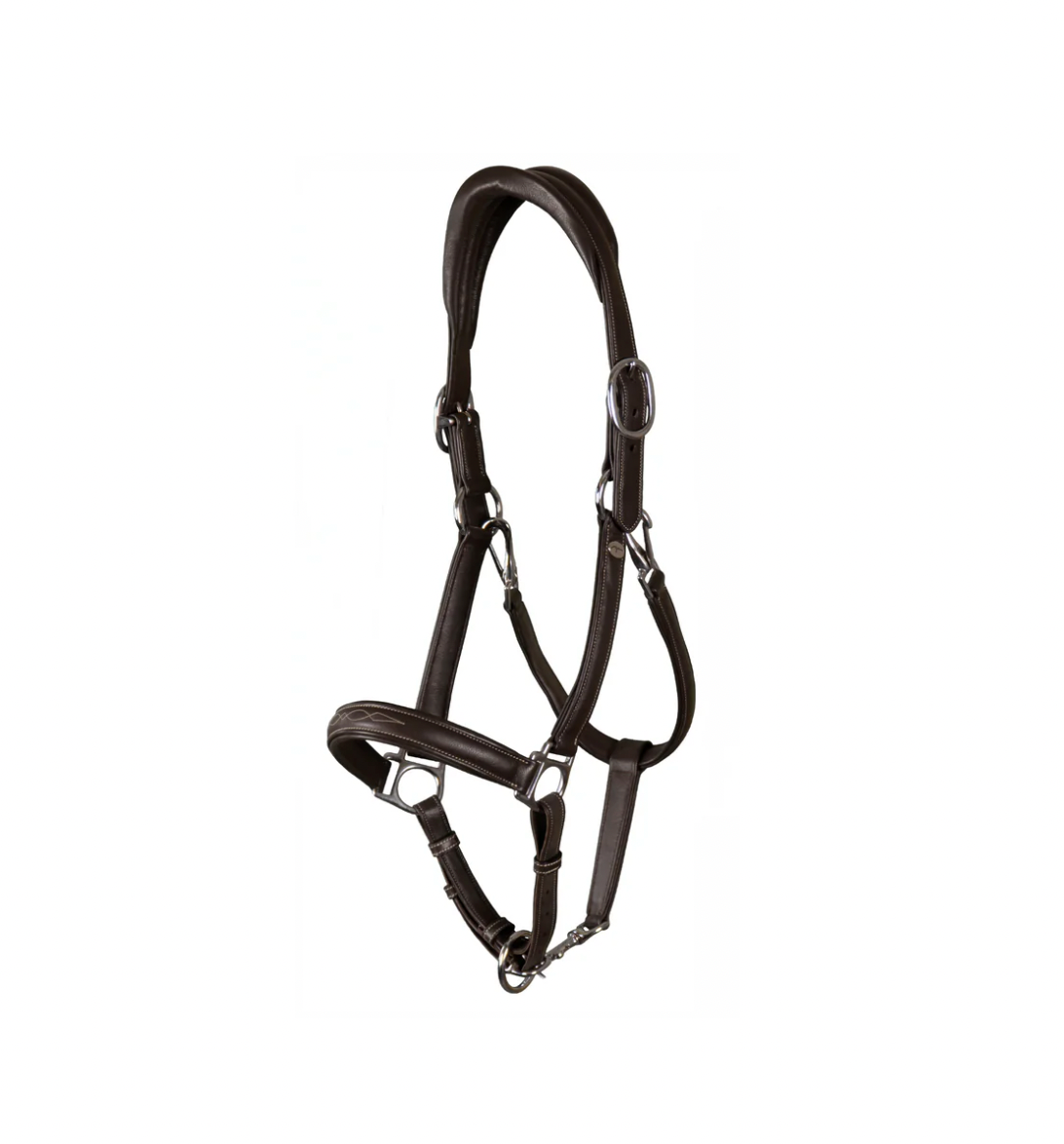 Wo SQ R. Fancy Halter Brown Pony