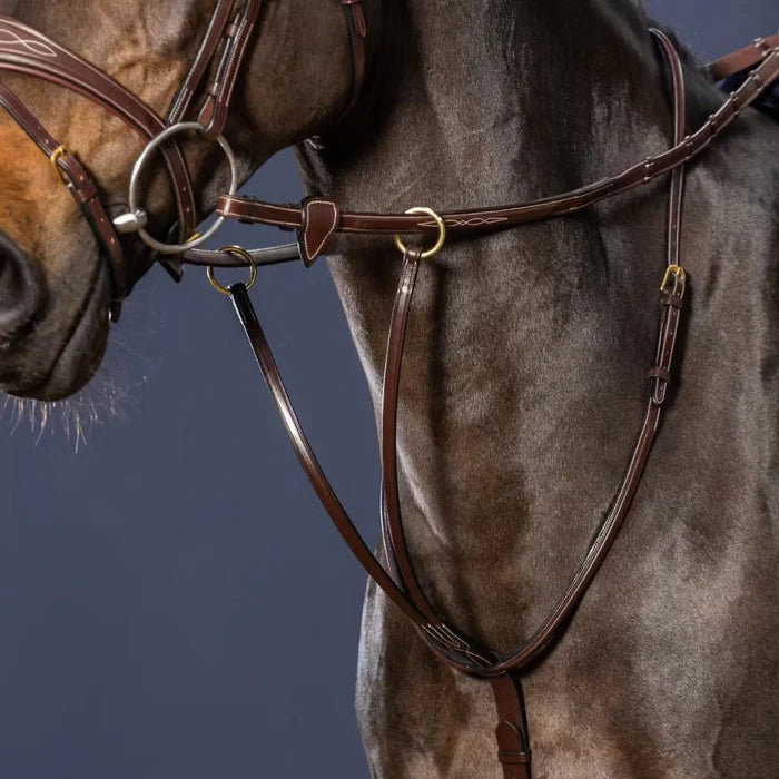 DYON Running Martingale - D Collection