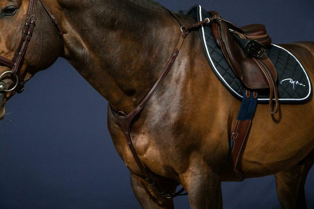 DY'ON Bridge Breastplate - NEW ENGLISH COLLECTION