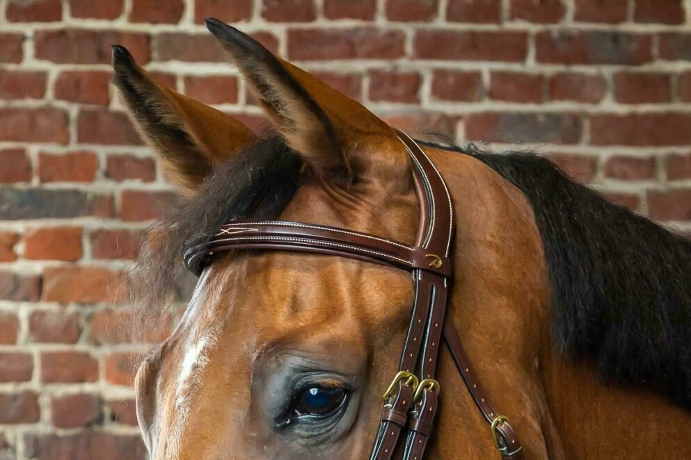 STRAIGHT BROWBAND - D COLLECTION BROWN