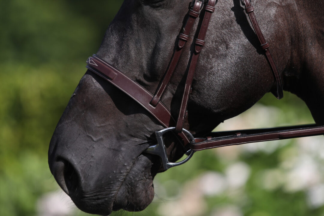 Cavesson Hunter Noseband Brown Hunter Collection Brown