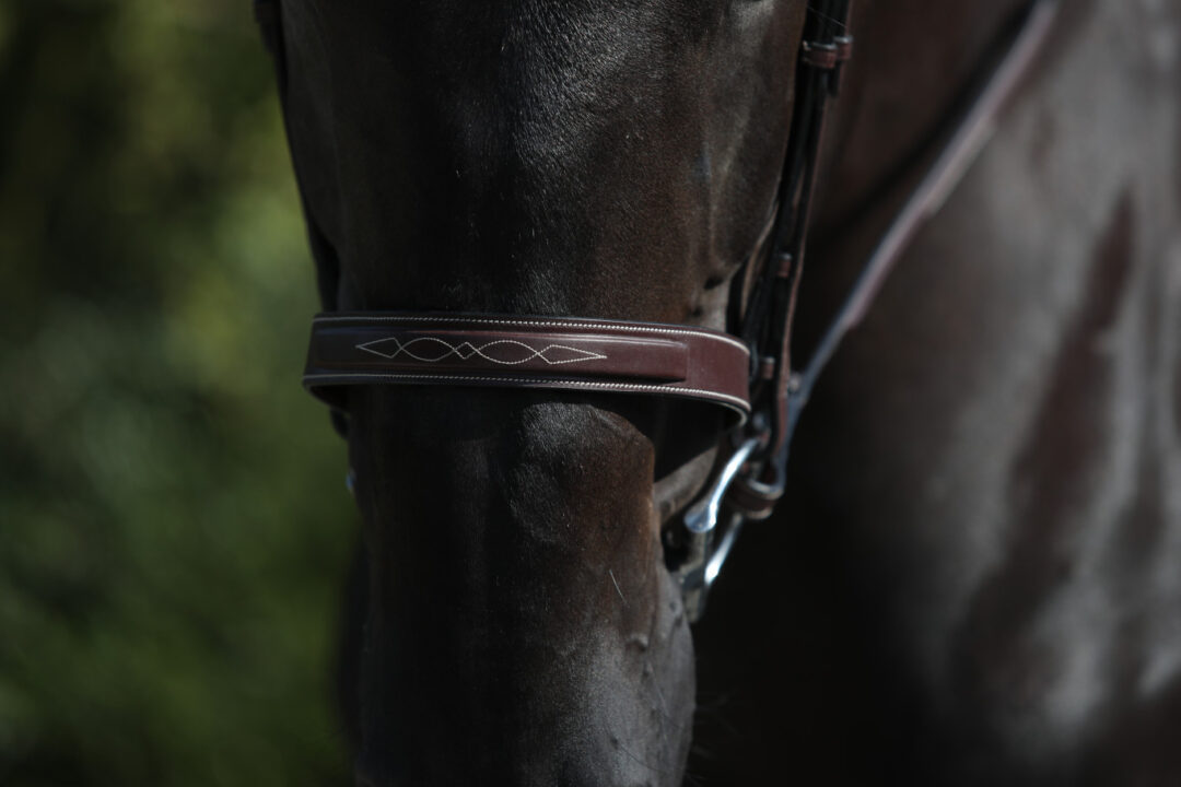 Cavesson Hunter Noseband Brown Hunter Collection Brown