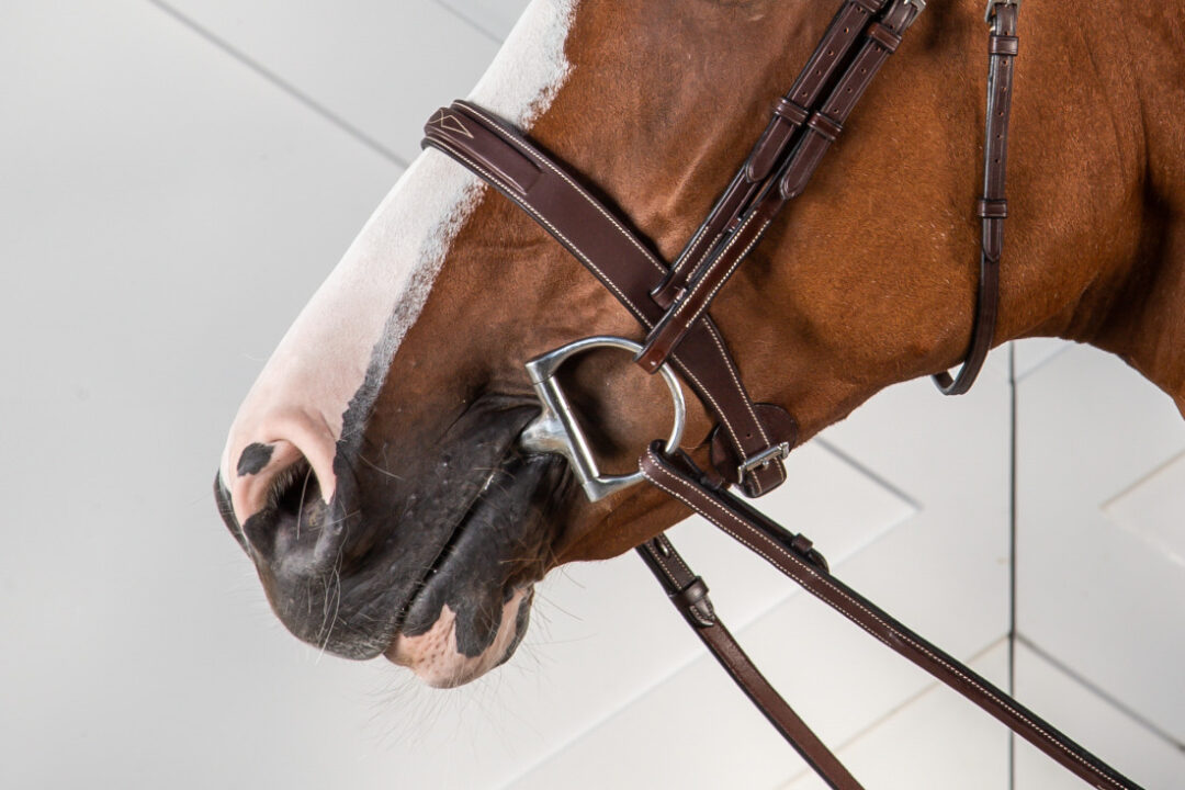 Cavesson Hunter Noseband Brown Hunter Collection Brown