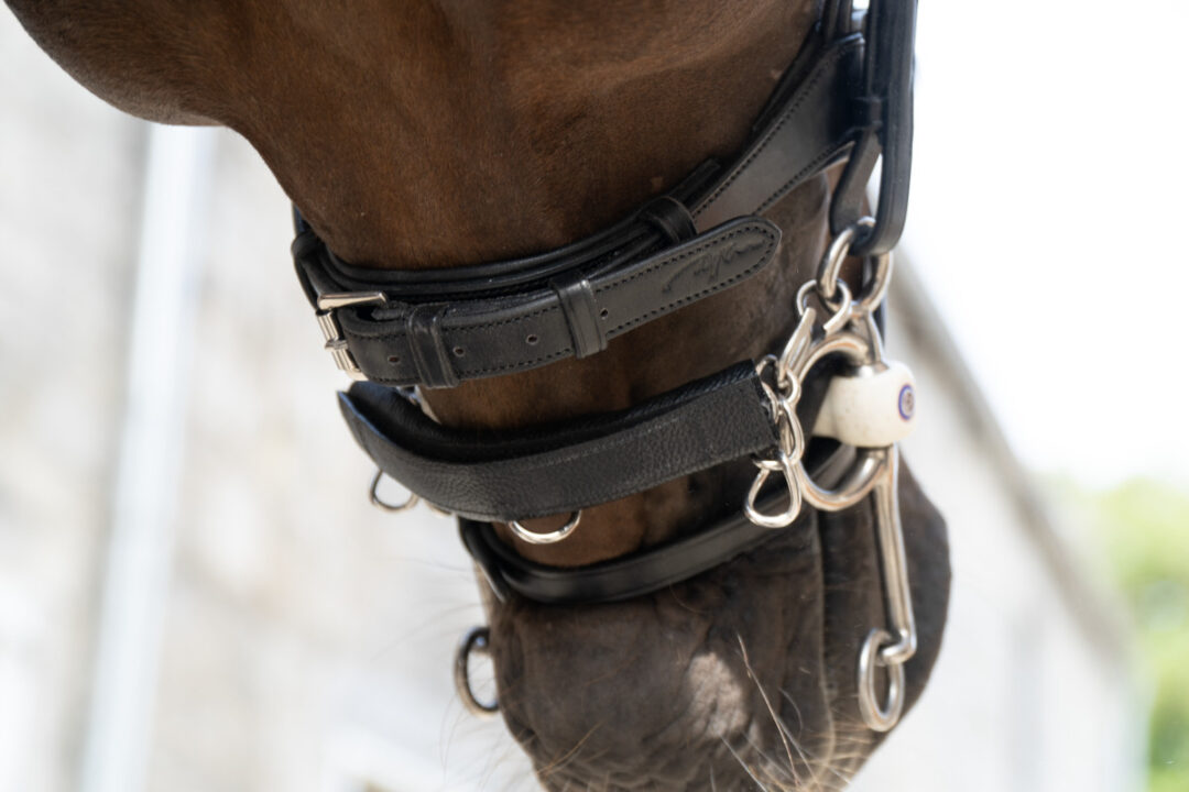 CHAIN PROTECTION BROWN ONE SIZE