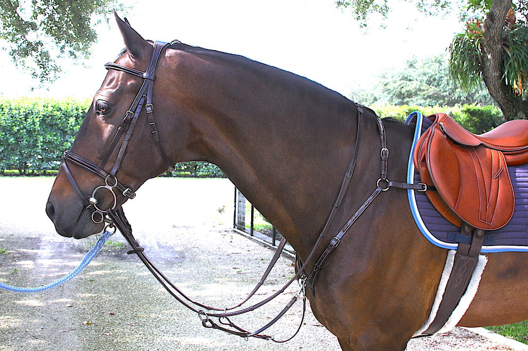 AVILA EQUESTRIAN BRIDLE APRILIA JFS (SS) BROWN