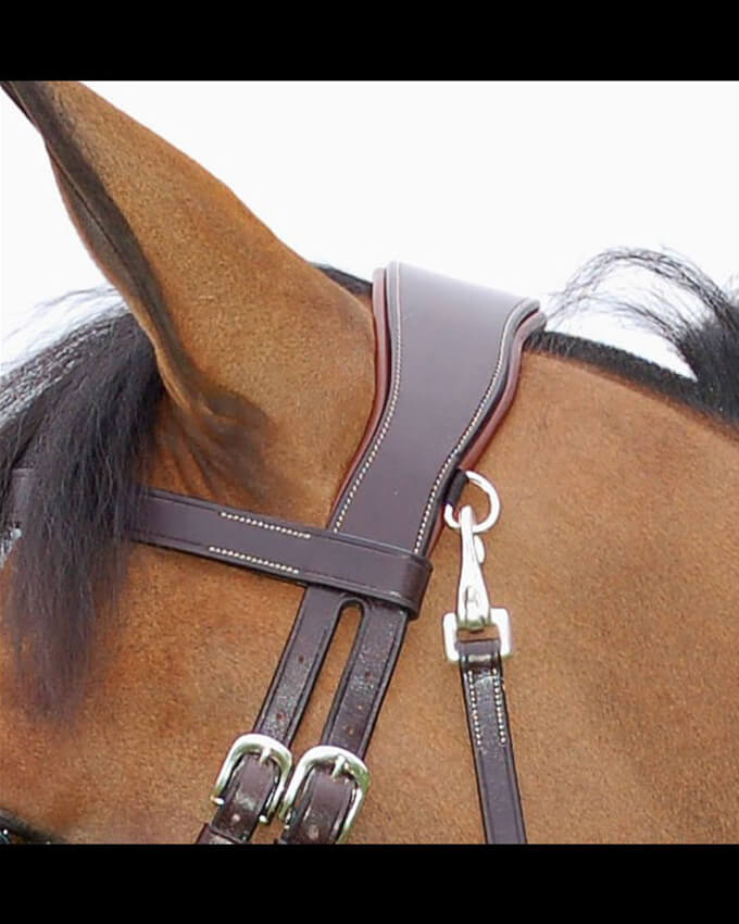 DY'ON FLAT LEATHER BRIDLE WITH SNAP HOOKS - WO COLLECTION image 2