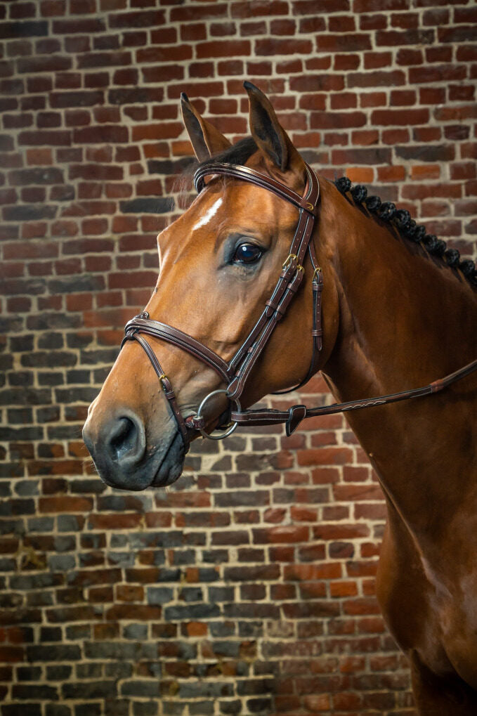 DY'ON FLASH NOSEBAND BRIDLE - D COLLECTION image 0