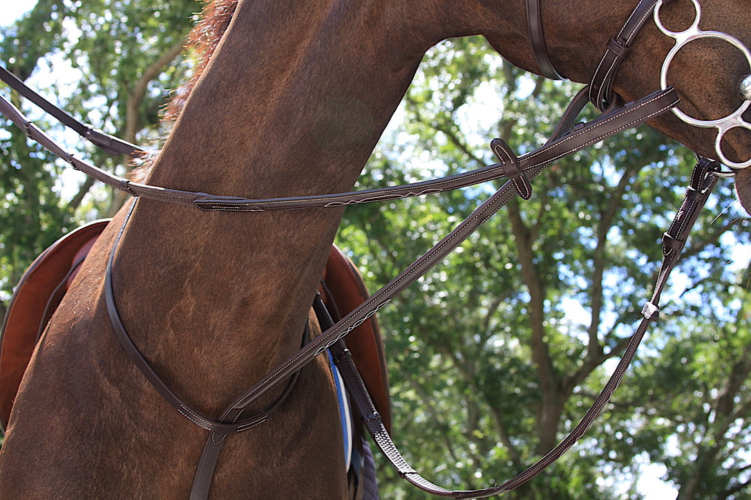 AVILA EQUESTRIAN FIXED MARTINGALE RAISED - BROWN