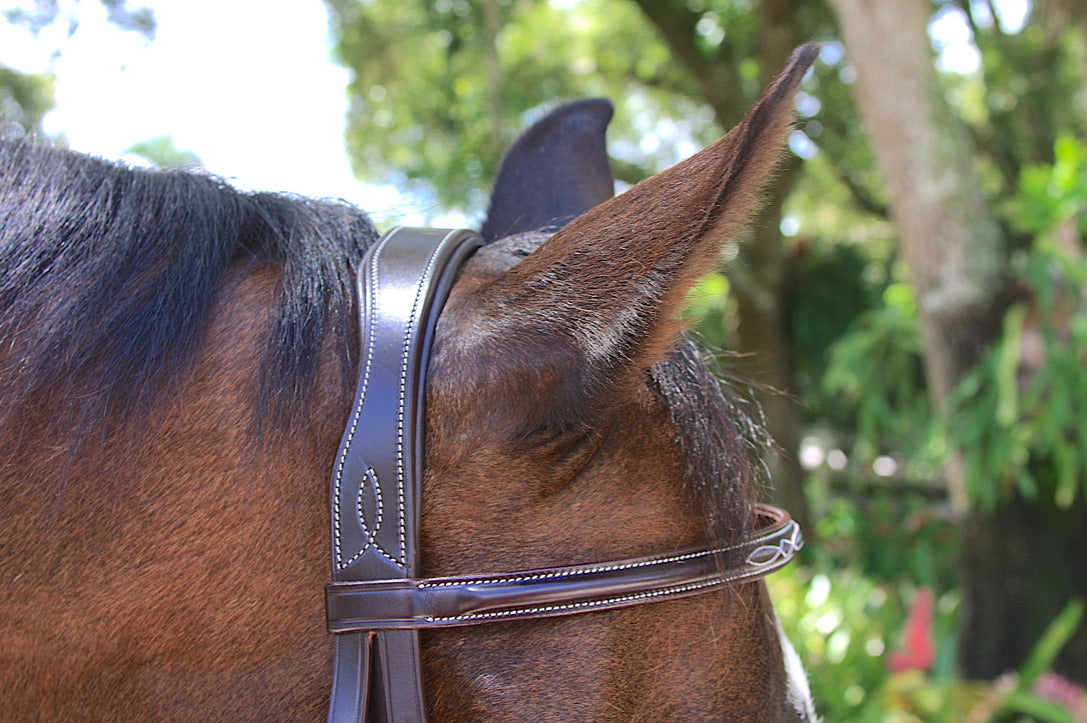 AVILA EQUESTRIAN APRILIA BRIDLE - BROWN