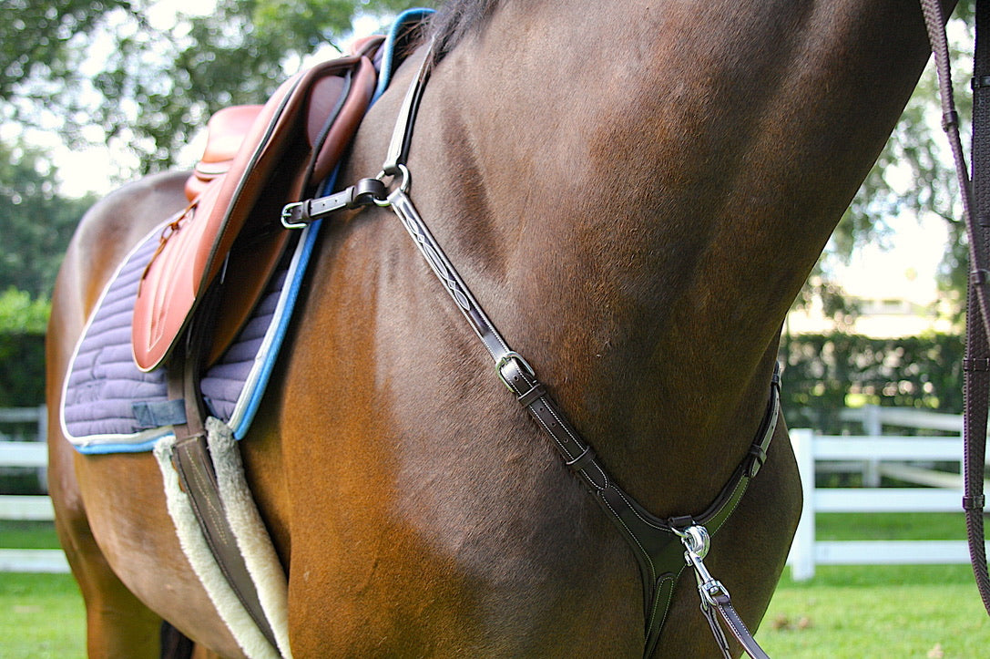 AVILA EQUESTRIAN BREASTPLATE 4P - BROWN