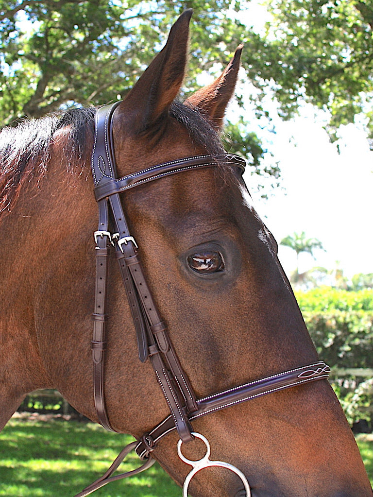 AVILA EQUESTRIA HUNTER ASTI BRIDLE