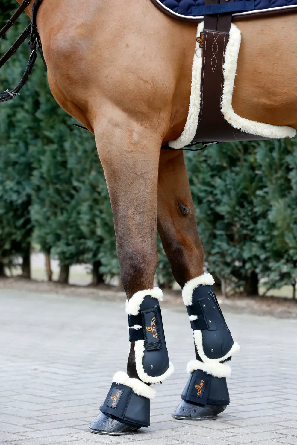 KENTUCKY HORSEWEAR Sheepskin Stud Girth - Brown