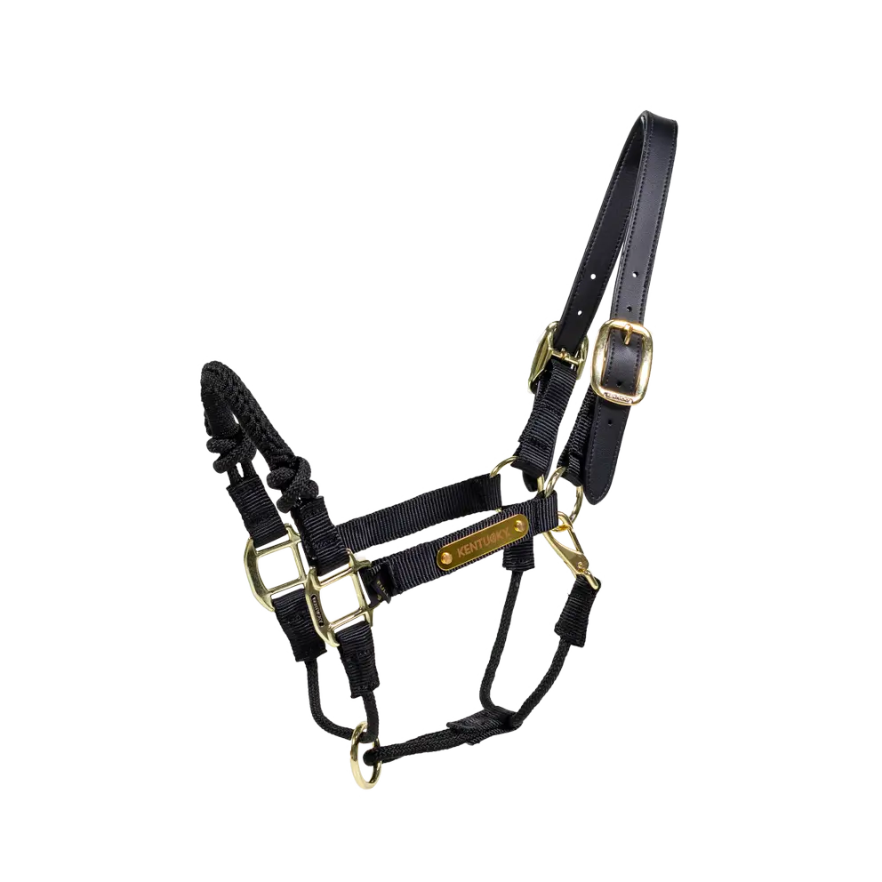 KENTUCKY HORSEWEAR Control Halter Black