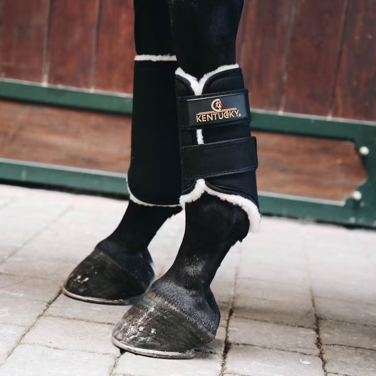 Kentucky Brushing Boots Solimbra Front