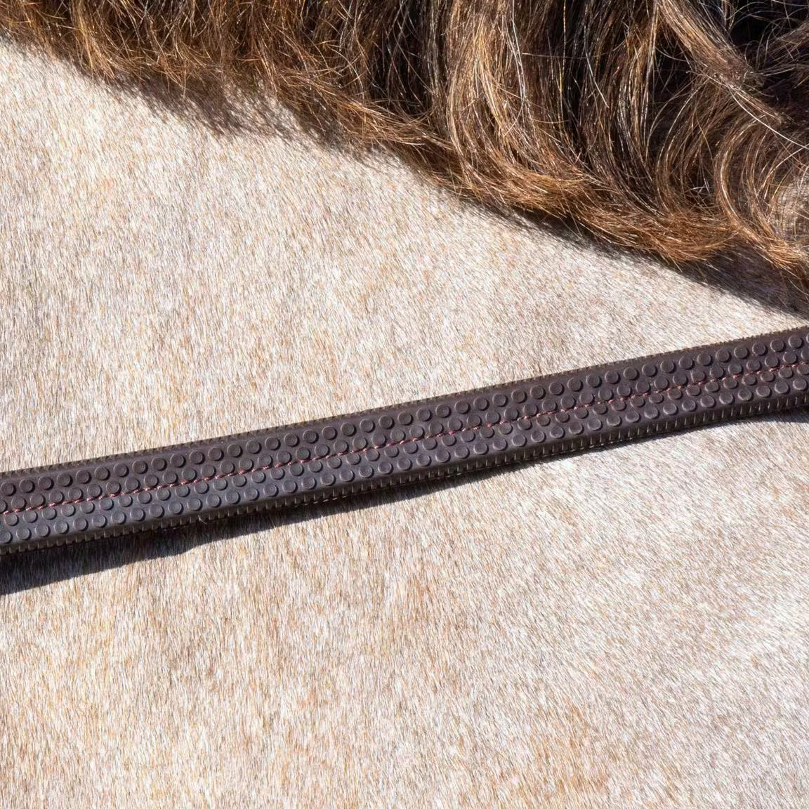 DYON 1/2" Rubber Reins - W Collection