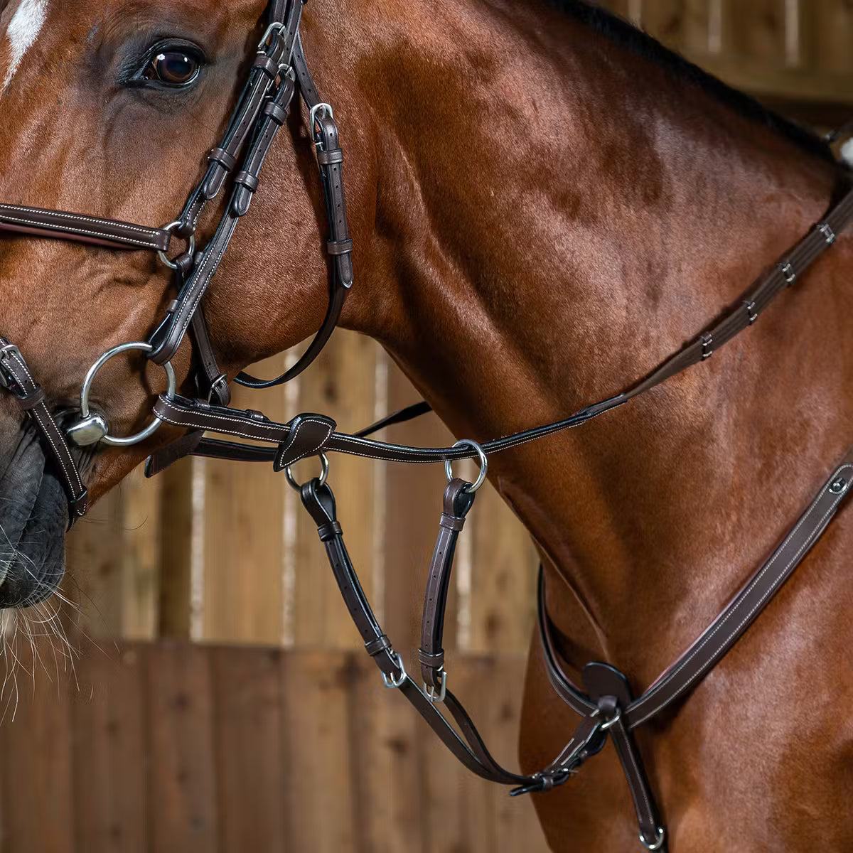 DYON Running Martingale Attachment - W COLLECTION