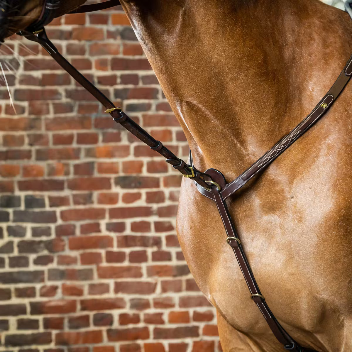 DYON Standing Martingale Attachment