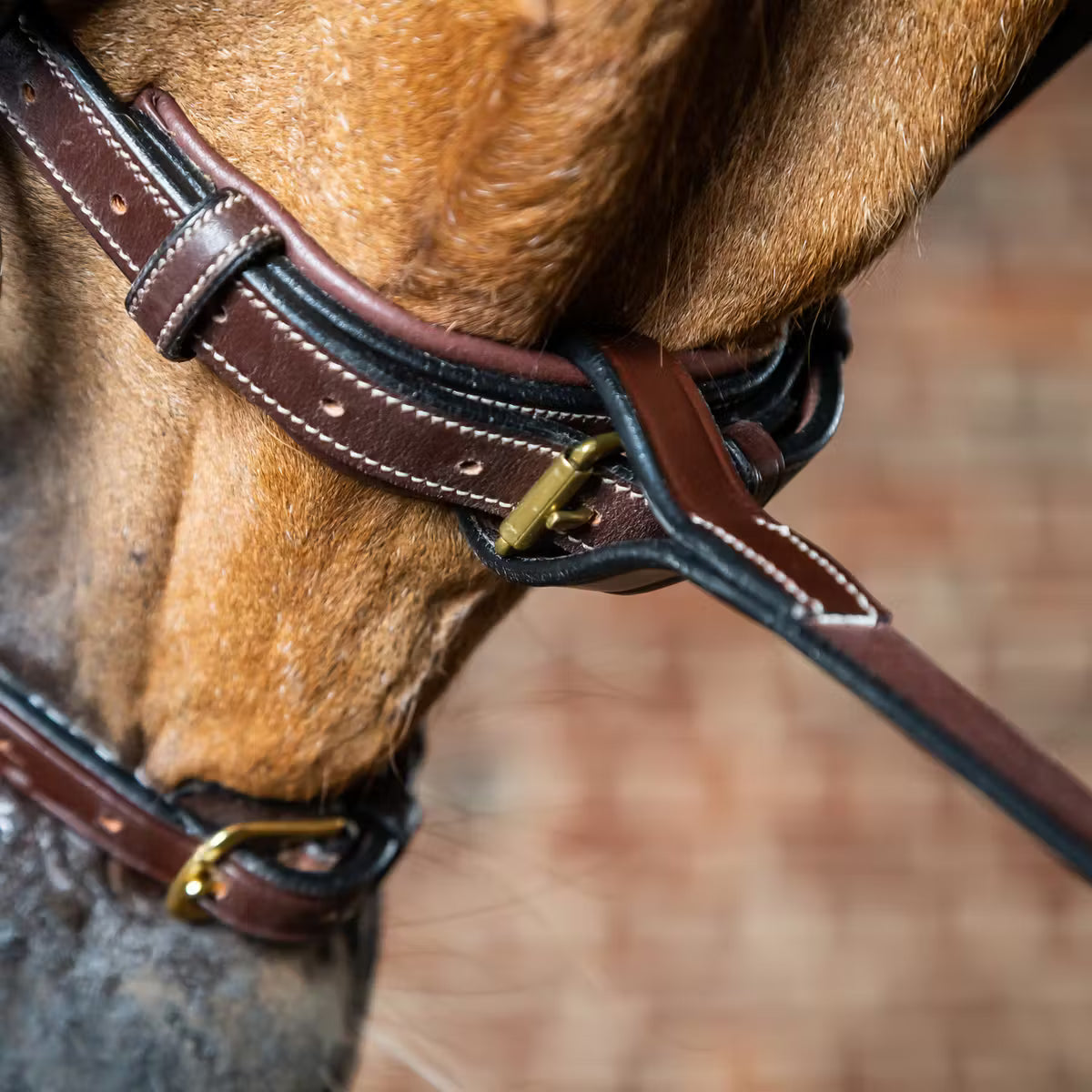 DYON Standing Martingale Attachment