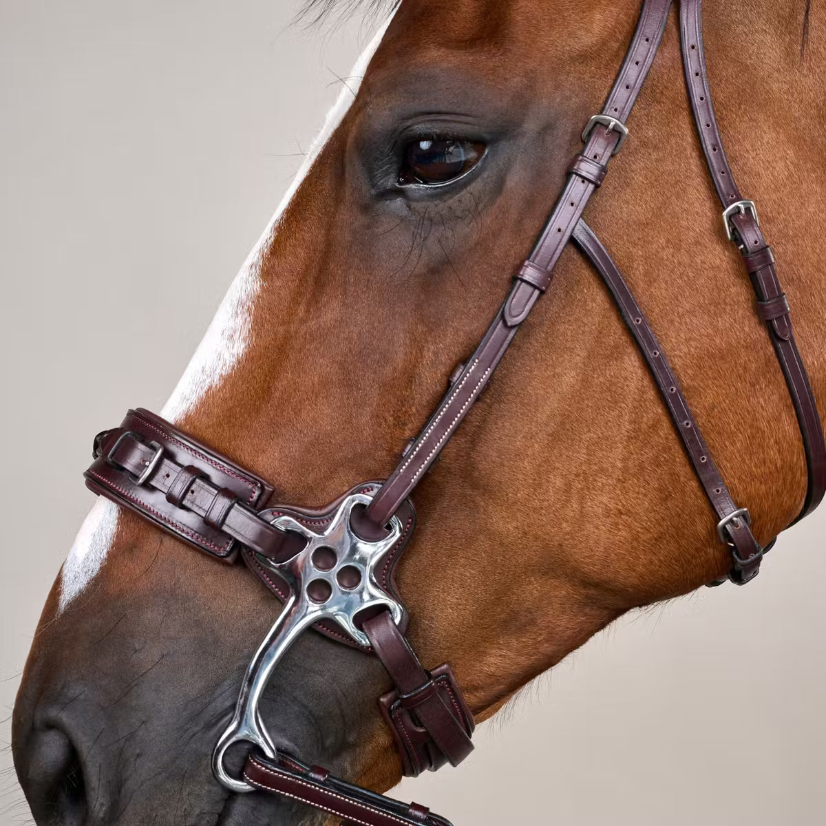 DYON Hackamore Bridle US