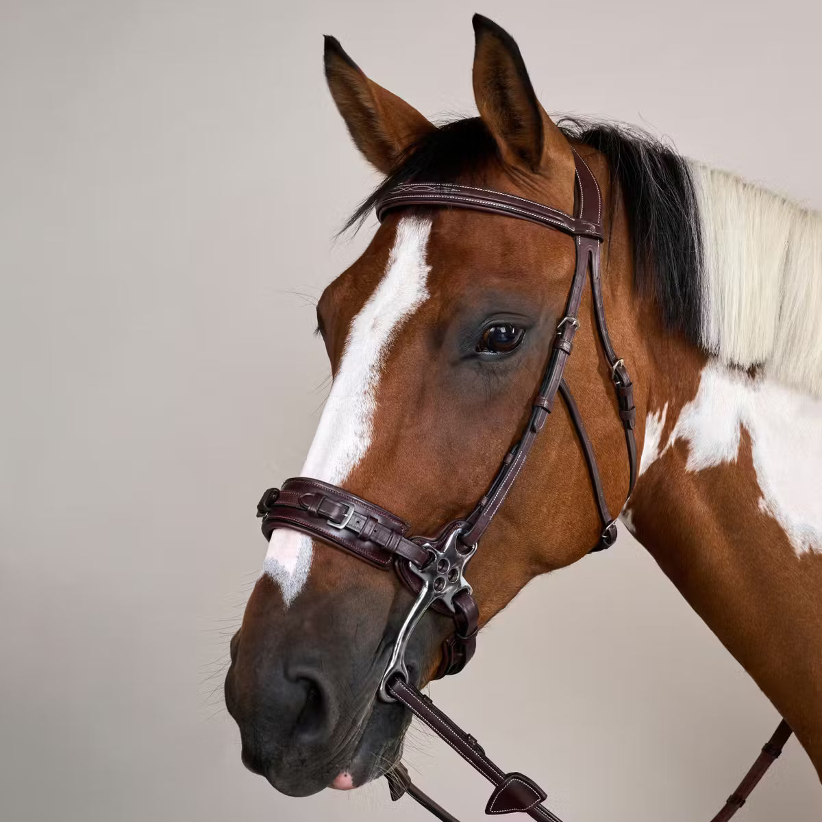 DYON Hackamore Bridle US