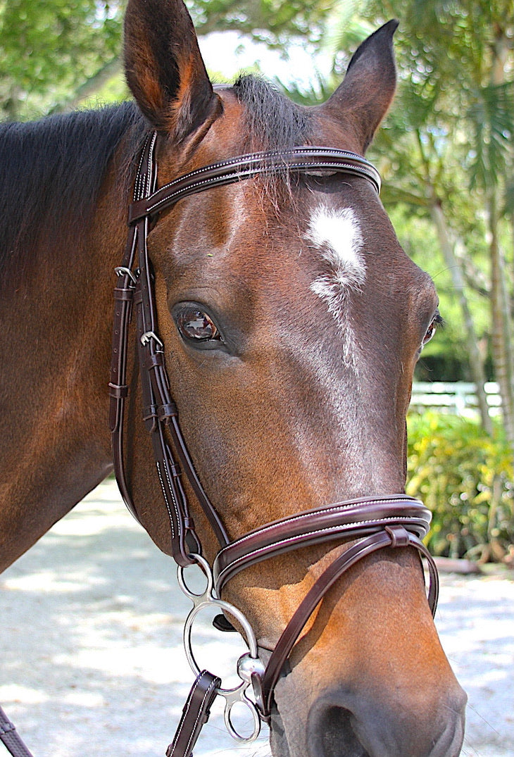 AVILA EQUESTRIAN BRIDLE SIENA SFN (SS)