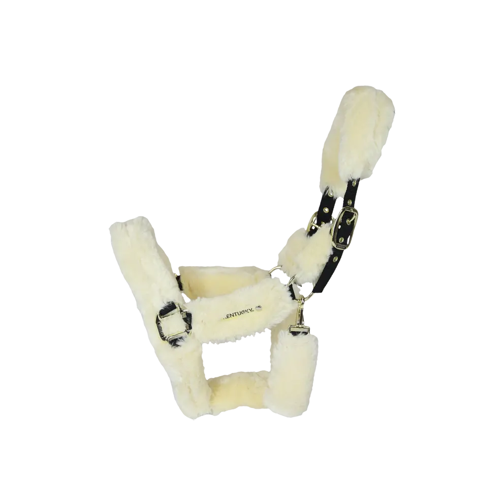 KENTUCKY HORSEWEAR Sheepskin Shipping Halter image 1