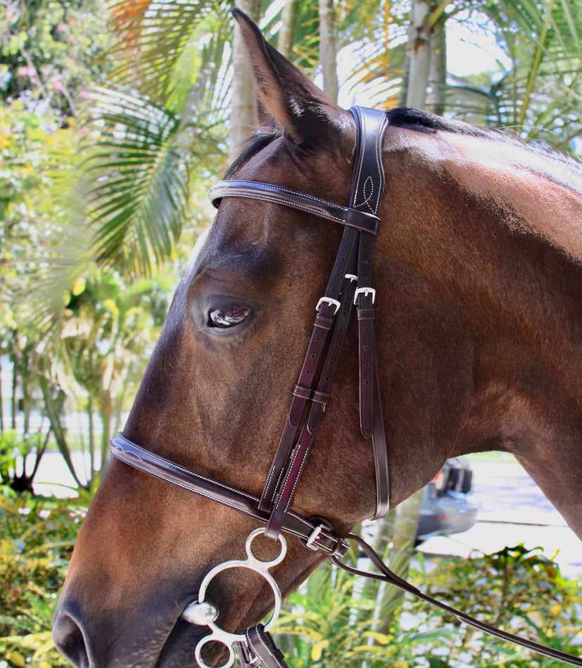 AVILA EQUESTRIA HUNTER ASTI BRIDLE